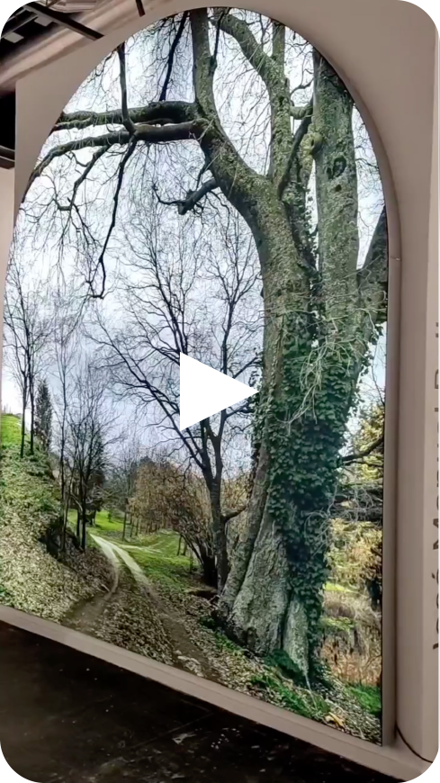 ARCO VIDEO